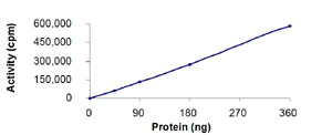 Functional Studies - Recombinant human STK23 protein (AB84801)