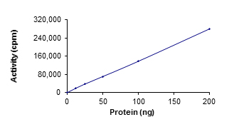 Functional Studies - Recombinant human STK23 protein (AB84801)