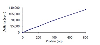 Functional Studies - Recombinant human STK25 protein (AB125588), expandable thumbnail