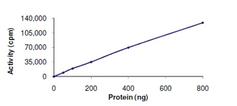 Functional Studies - Recombinant human STK25 protein (AB125588)
