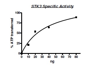 Functional Studies - Recombinant human STK3/MST-2 protein (AB195160), expandable thumbnail