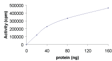 Functional Studies - Recombinant human STK3/MST-2 protein (AB60885)