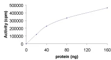 Functional Studies - Recombinant human STK3/MST-2 protein (AB60885)