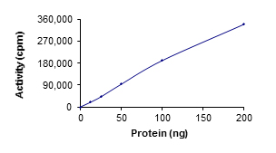 Recombinant human STK3/MST-2 protein