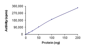 Functional Studies - Recombinant human STK3/MST-2 protein (AB60885)