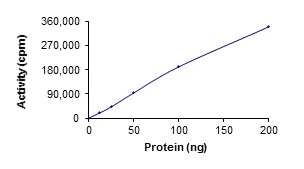 Functional Studies - Recombinant human STK3/MST-2 protein (GST tag N-Terminus) (AB60885)