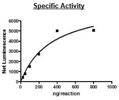 Functional Studies - Recombinant human STK33 protein (Active) (GST tag N-Terminus) (AB271749)