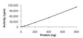 Functional Studies - Recombinant human STK38 protein (AB101549)