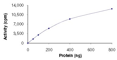 Functional Studies - Recombinant human STK38L/Ndr2 protein (AB125530)