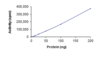Recombinant human Syk protein