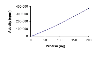 Functional Studies - Recombinant human Syk protein (AB60886)