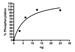 Functional Studies - Recombinant human Syk protein (GST tag N-Terminus) (AB196062)