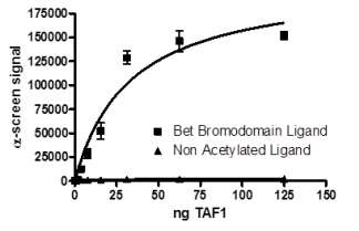 Functional Studies - Recombinant human TAF1 protein (AB198139), expandable thumbnail