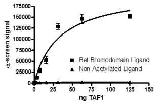 Functional Studies - Recombinant human TAF1 protein (GST tag N-Terminus) (AB198139)