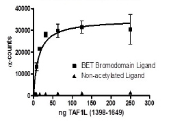Functional Studies - Recombinant human TAF1L protein (AB198161)