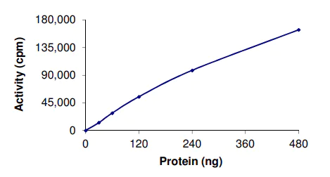 Functional Studies - Recombinant human TAK1 + TAB1 protein (AB89692)