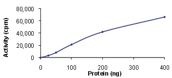 Functional Studies - Recombinant human TAK1 + TAB1 protein (AB89692)