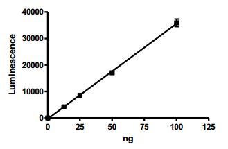 Functional Studies - Recombinant human Tankyrase 2/TNKS2 protein (AB198755), expandable thumbnail