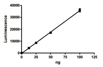 Functional Studies - Recombinant human Tankyrase 2/TNKS2 protein (GST tag N-Terminus) (AB198755)