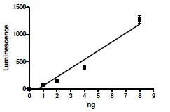 Functional Studies - Recombinant human Tankyrase protein (AB198639)