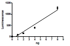 Functional Studies - Recombinant human Tankyrase protein (GST tag N-Terminus) (AB198639)