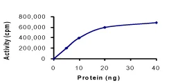 Functional Studies - Recombinant human TAOK1 protein (AB63169)