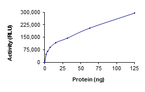 Recombinant human TAOK1 protein