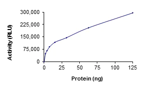 Functional Studies - Recombinant human TAOK1 protein (AB63169)