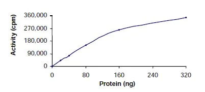 Functional Studies - Recombinant human TAOK2 protein (AB61426)