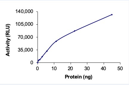 Functional Studies - Recombinant human TAOK2 protein (AB61426)