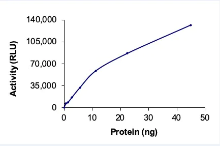 Functional Studies - Recombinant human TAOK2 protein (AB61426)