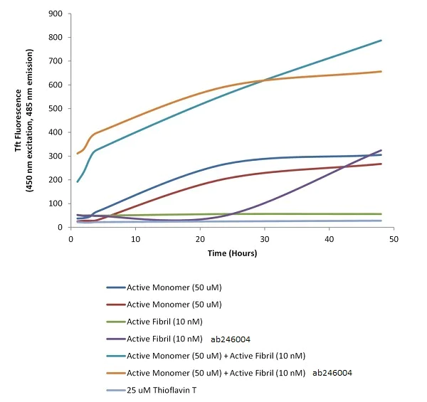 Functional Studies - Recombinant human Tau (mutated P301L) protein (Active) (AB246004)