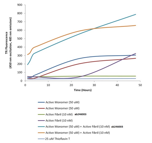 Functional Studies - Recombinant human Tau (mutated P301S) protein aggregate (Active) (AB246003), expandable thumbnail
