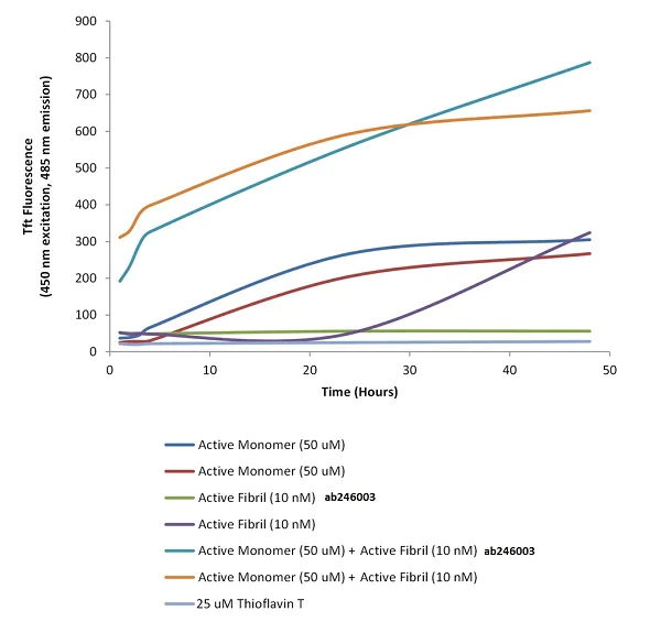 Functional Studies - Recombinant human Tau (mutated P301S) protein aggregate (Active) (AB246003)