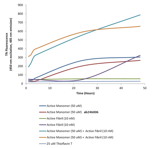 Functional Studies - Recombinant human Tau protein (Active) (AB246006), expandable thumbnail