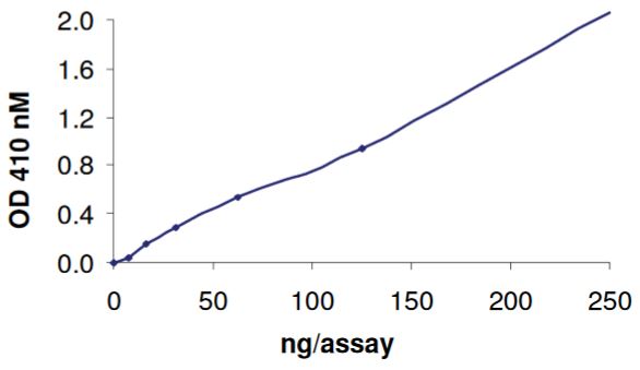 Functional Studies - Recombinant human TCPTP protein (Tagged) (AB268903), expandable thumbnail