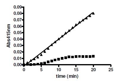 Functional Studies - Recombinant human TDP2 protein (AB135019)