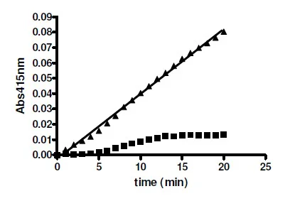 Functional Studies - Recombinant human TDP2 protein (His tag N-Terminus + GST tag N-Terminus) (AB135019)