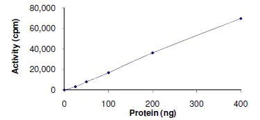Functional Studies - Recombinant human Tec protein (AB105197)