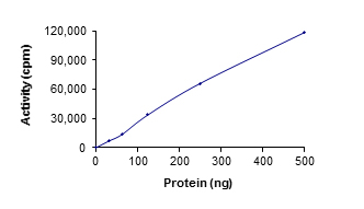 Functional Studies - Recombinant human Tec protein (AB105197)