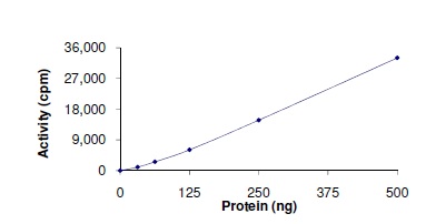 Functional Studies - Recombinant human TESK2 protein (AB140418), expandable thumbnail