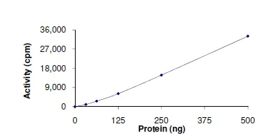 Functional Studies - Recombinant human TESK2 protein (AB140418)