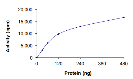 Functional Studies - Recombinant human TESK2 protein (AB140418), expandable thumbnail