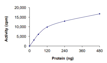 Functional Studies - Recombinant human TESK2 protein (AB140418)