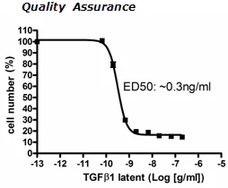 Functional Studies - Recombinant human TGF beta 1 (mutated C33S) protein (Tag Free) (AB271759)