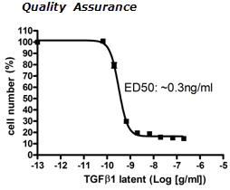 Functional Studies - Recombinant human TGF beta 1 (mutated C33S) protein (Tagged) (AB271759)
