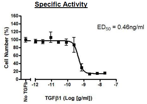 Recombinant human TGF beta 1 protein (Active)