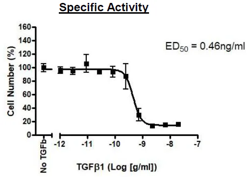 Functional Studies - Recombinant human TGF beta 1 protein (Active) (Tag Free) (AB271757)