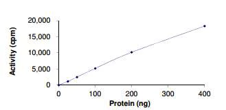 Functional Studies - Recombinant human TGF beta Receptor I (mutated T204D) protein (Active) (AB186088)