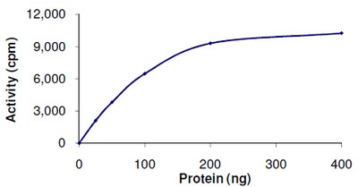 Functional Studies - Recombinant human TGF beta Receptor I protein (AB105908)